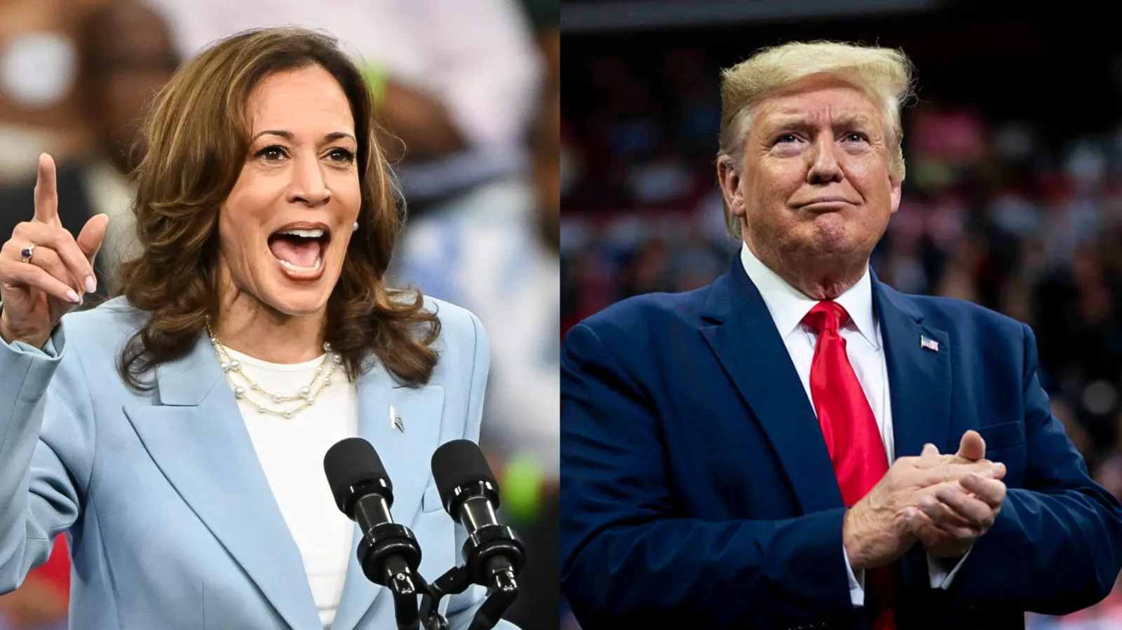 How Are the Usa 2024 Elections Going? Voting Results