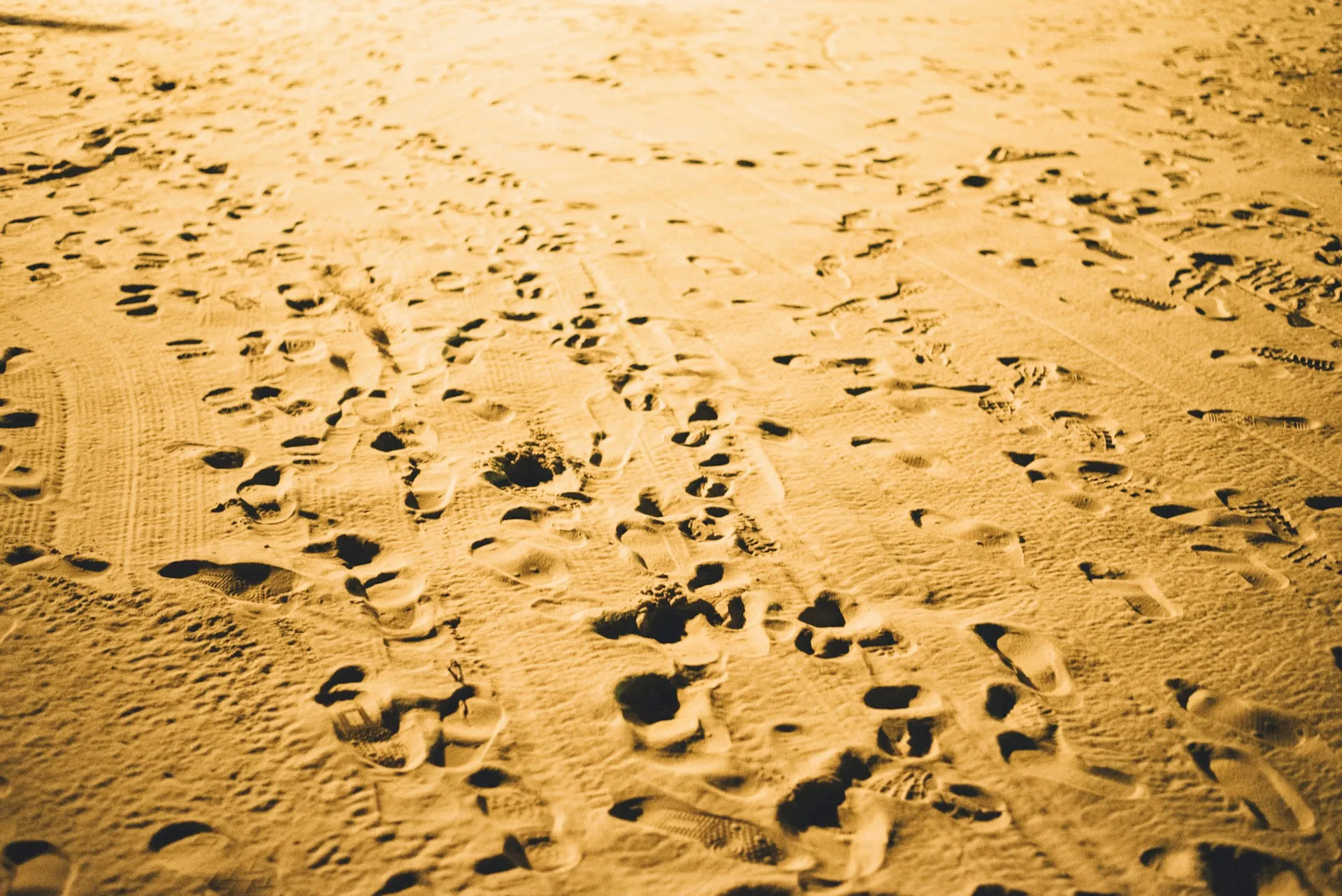 Voluntary Return Migration or Deportation