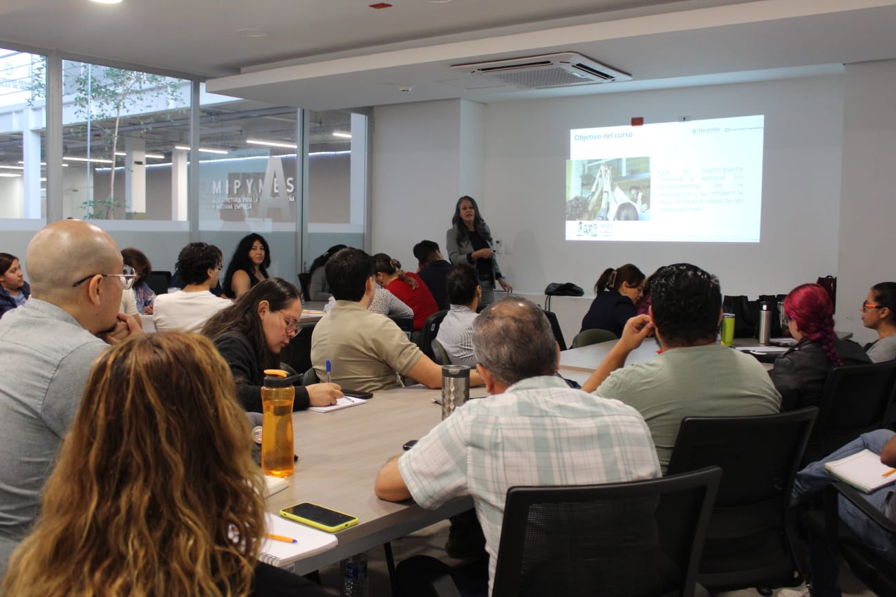 Training Programs Launched for MSMEs in Aguascalientes