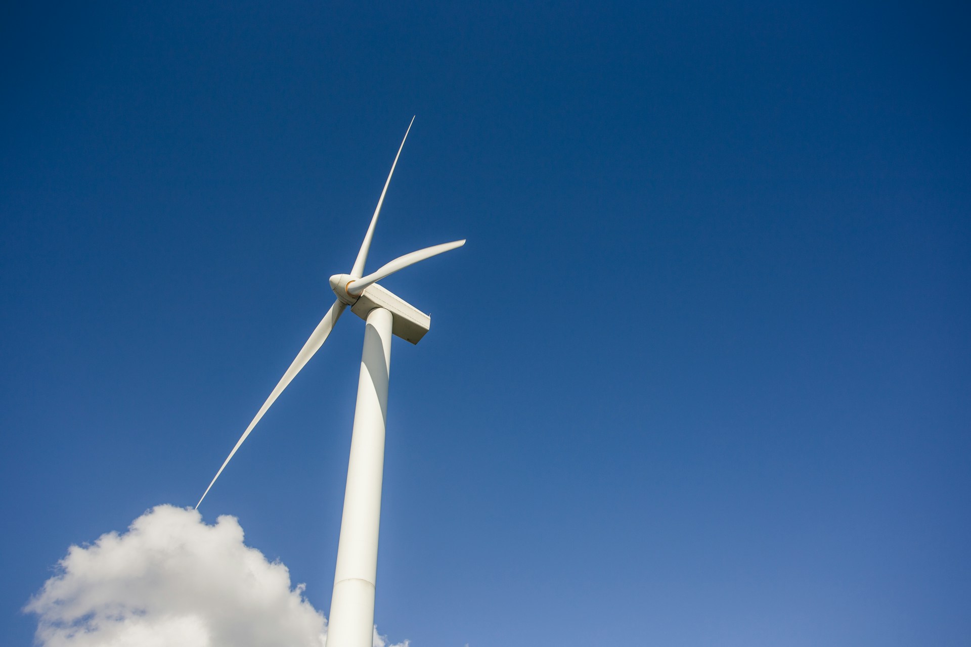 Guanajuato Leads Energy Transition with 428 MW of Clean Energy