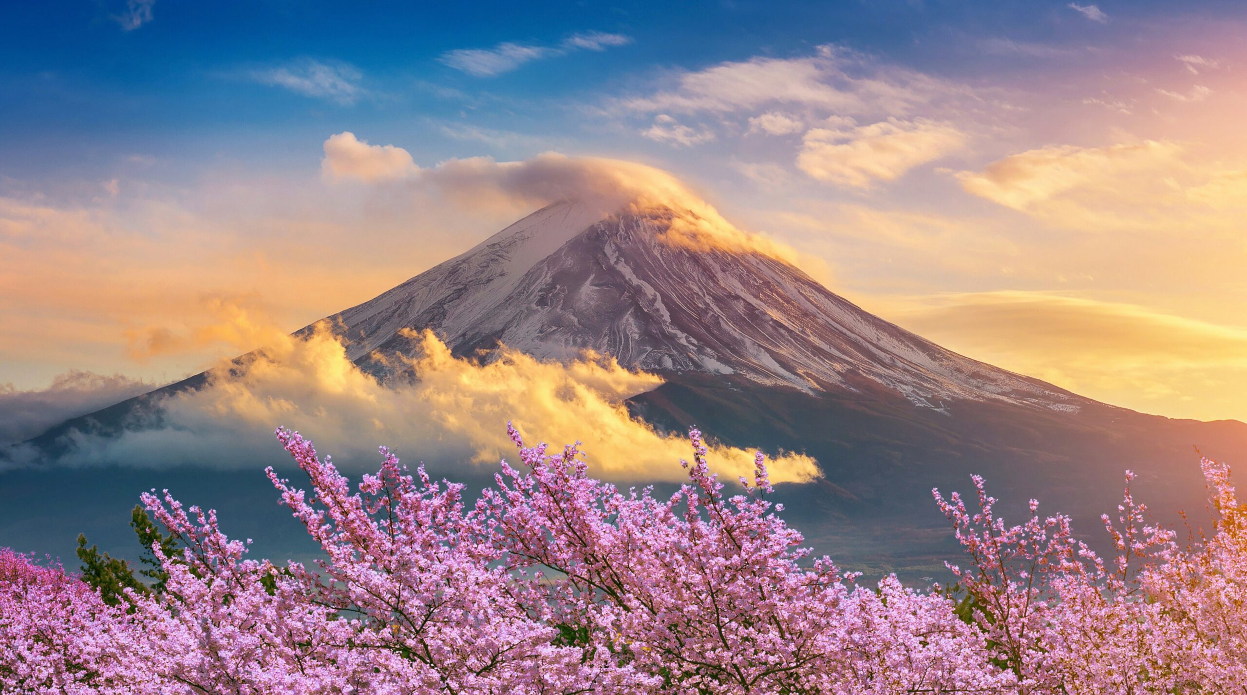 Mexico Sends Oil to Japan: The Strait of Hormuz Redefines the Global Energy Map