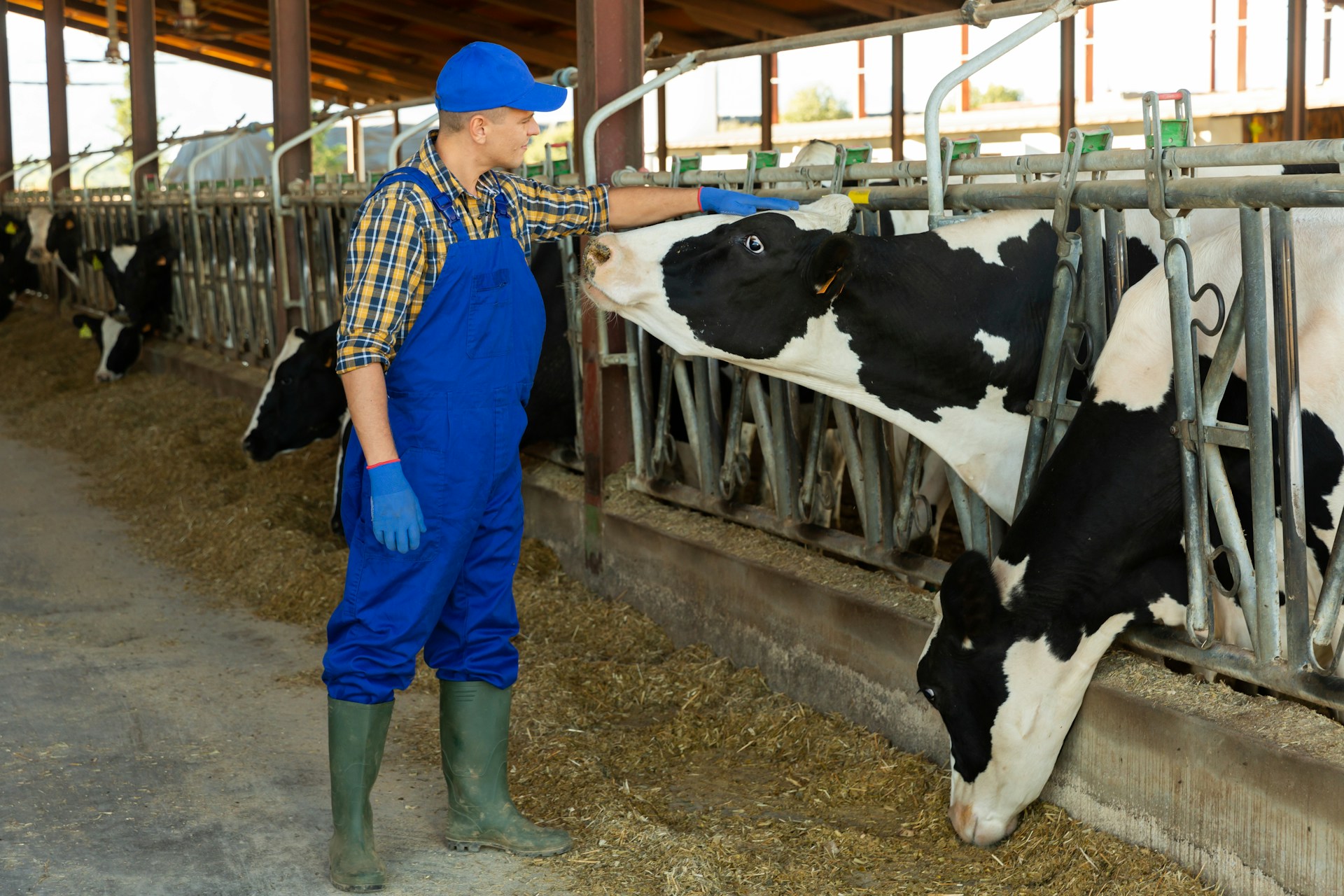 Mexican Dairy Industry Aims to Boost Production to 15 Billion Liters by 2030