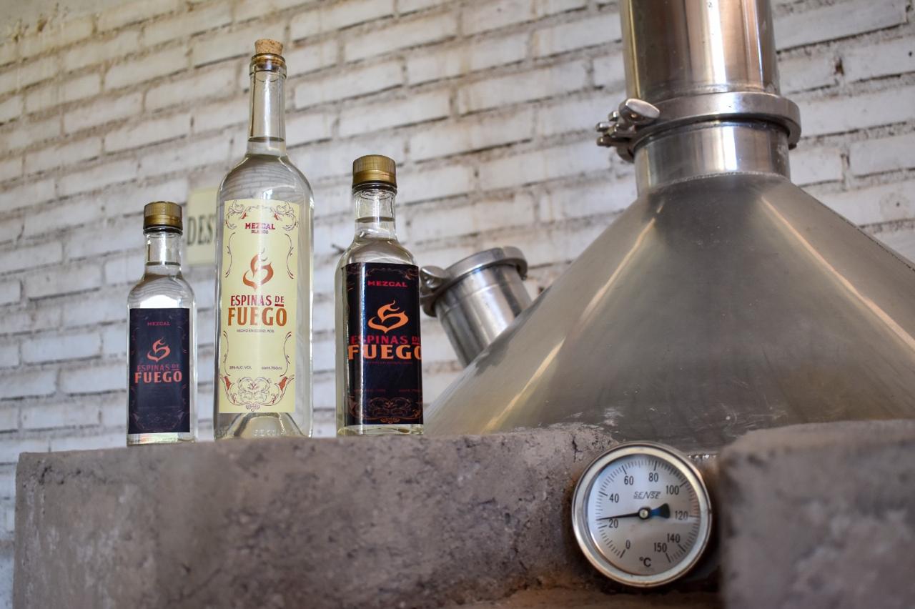 Aguascalientes Establishes Mezcal and Agave Consultative Council to Boost Exports
