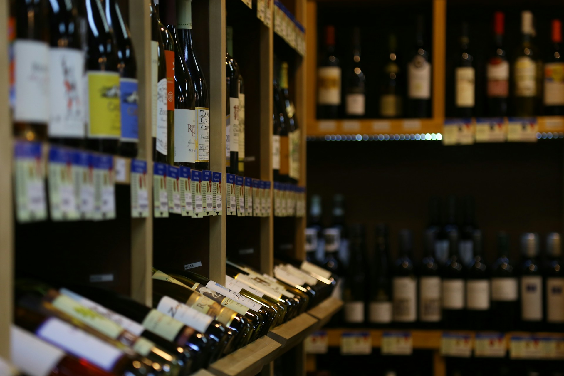 Guanajuato Ranks Second Nationally for Wine Quality in Mexico