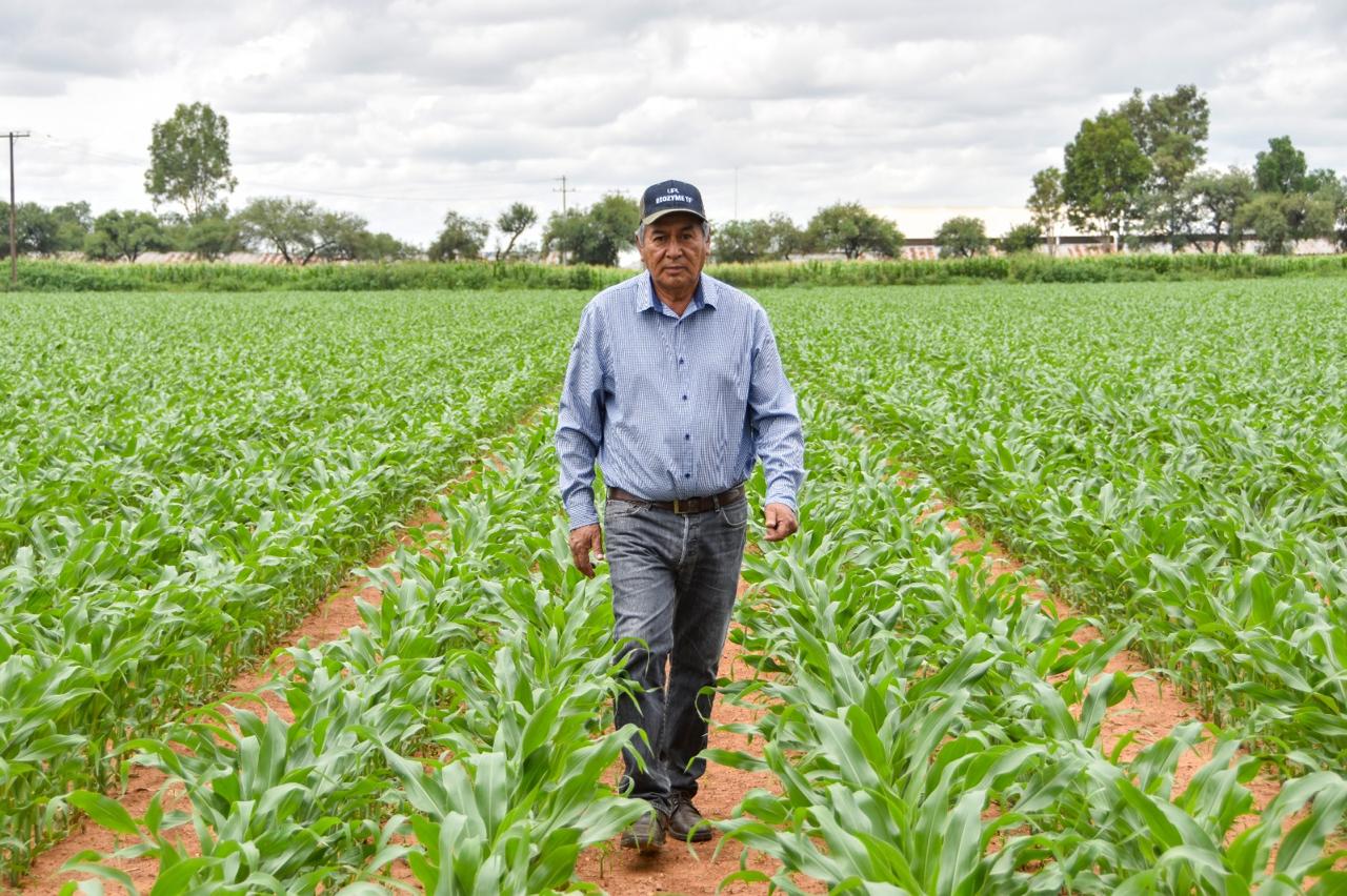 Increased Water Levels at Calles Dam Provide Agricultural Producers with Certainty for Future Growing Seasons