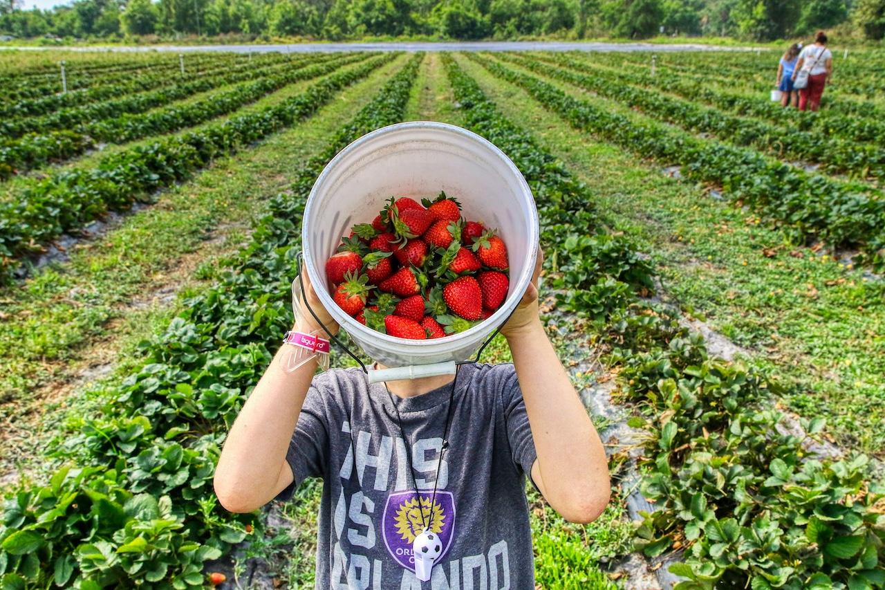 Querétaro's Agri-Exports Face New Trade Barriers