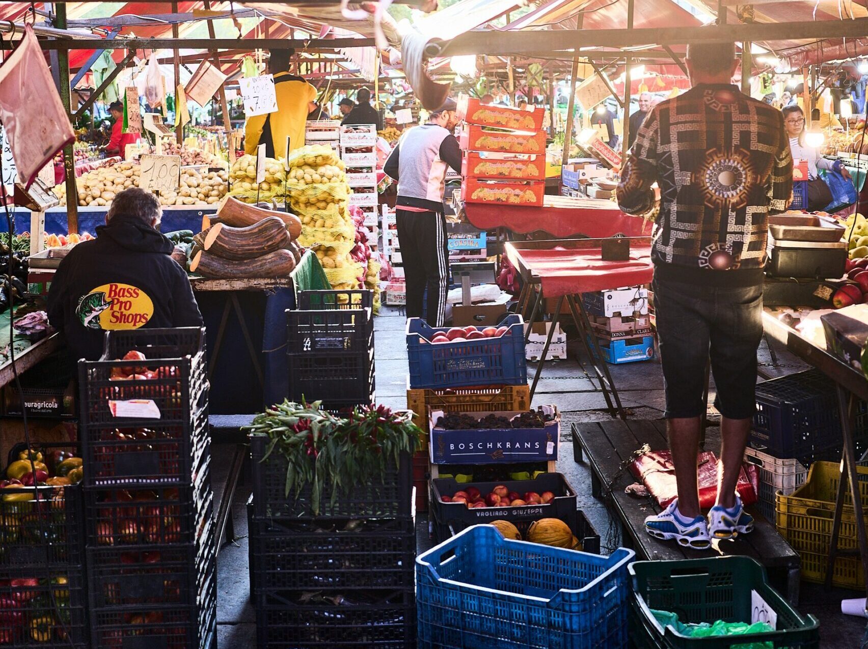 How Did the Employed Population of San Luis Potosí Change Between 2020 and 2025?