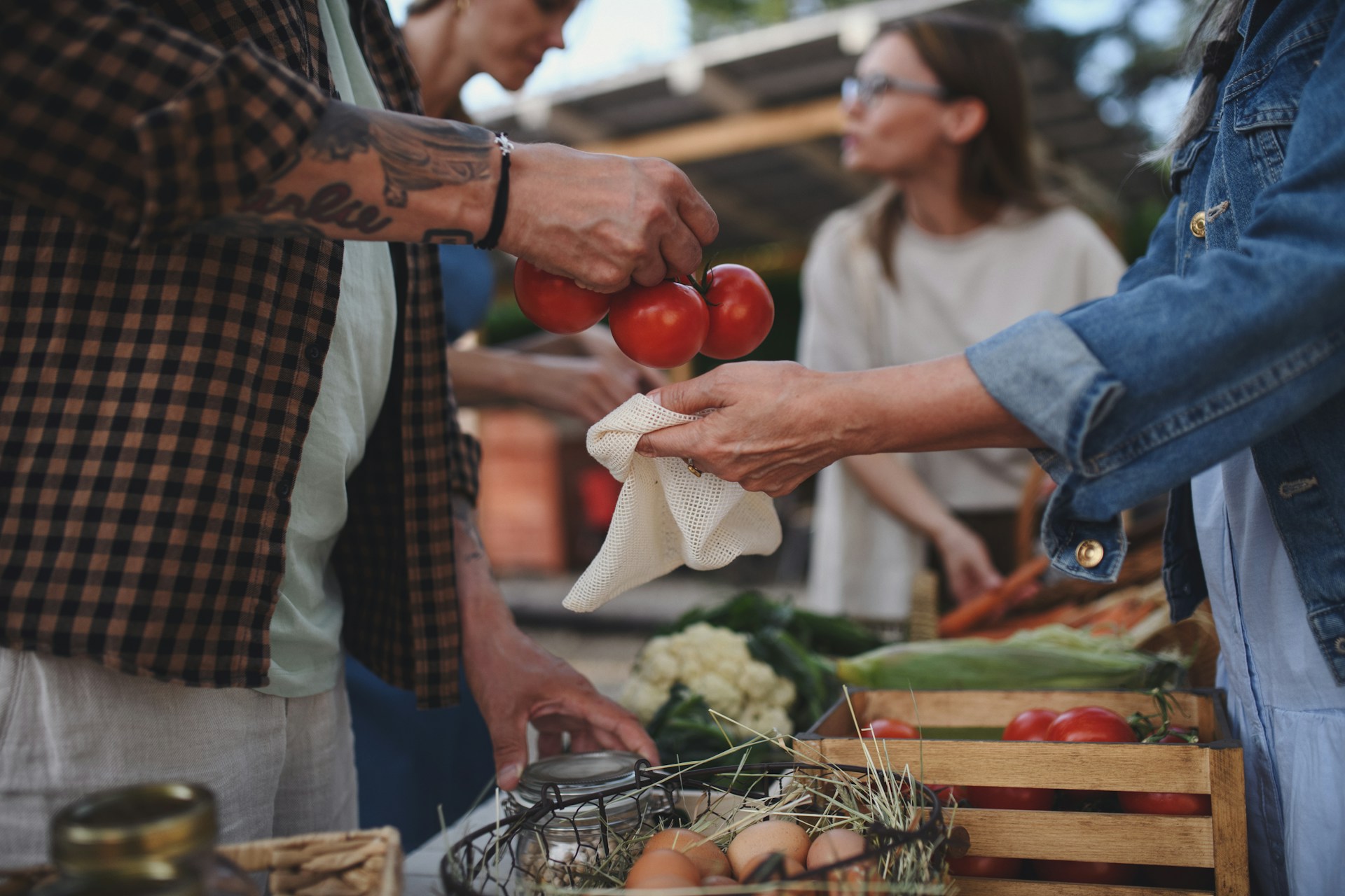 Guanajuato Household Spending Snapshot: Families Allocate $16,500 Monthly, INEGI Reveals
